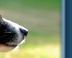 What's over there then?