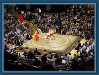 Sumo in Tokyo